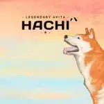 HACHI