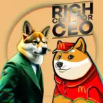 Rich Ceo Poor Ceo