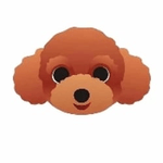 Teddy dog