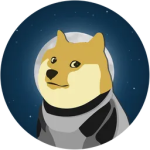 DOGE-1