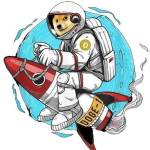 Doge-1 Mission to the moon