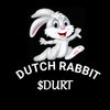 DUTCH RABBIT