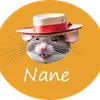 Nanegondolier