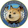 Department Of Government Efficiency