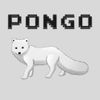 PONGO THE FOX