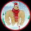 SANTA DOGE COIN