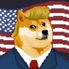 TRUMP DOGE 