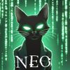 Neo The One