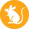 rats (Ethereum)