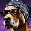 $Snoopz the doggy dog