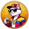 Simon Coin