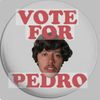 Vote For Pedro